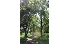Property photo 2 - AUCTION POSTPONED